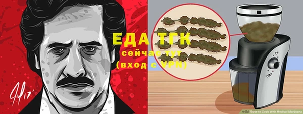 шишки Верхний Тагил