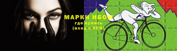apvp Ростов