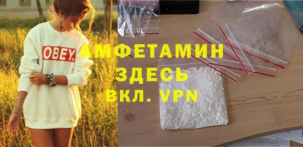 шишки Верхний Тагил