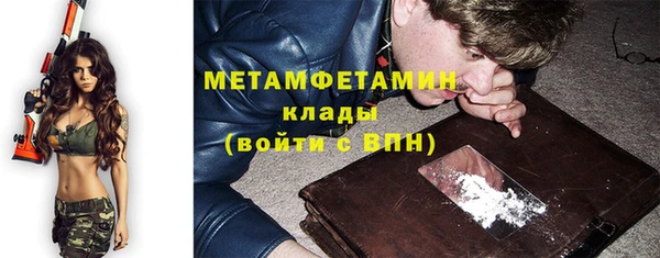 шишки Верхний Тагил