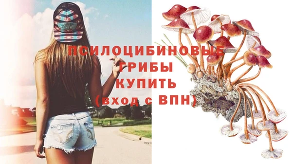 прущая мука Верея