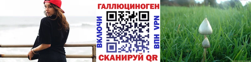 shop состав  Кизел  Галлюциногенные грибы Cubensis 